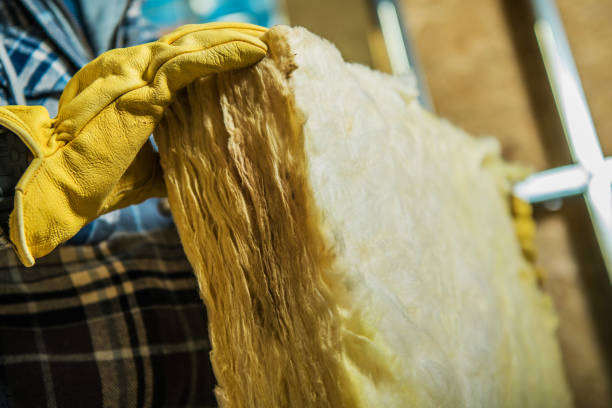Best Residential Insulation in Morrilton, AR
